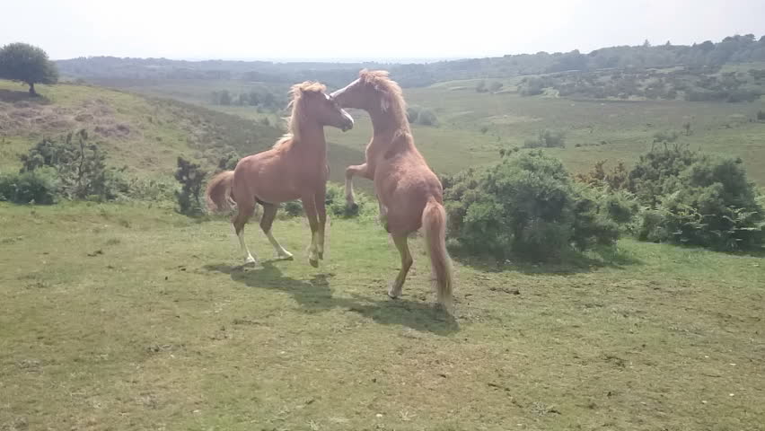 32 – Sixteen Today (part 2)&nbsp;(1986)